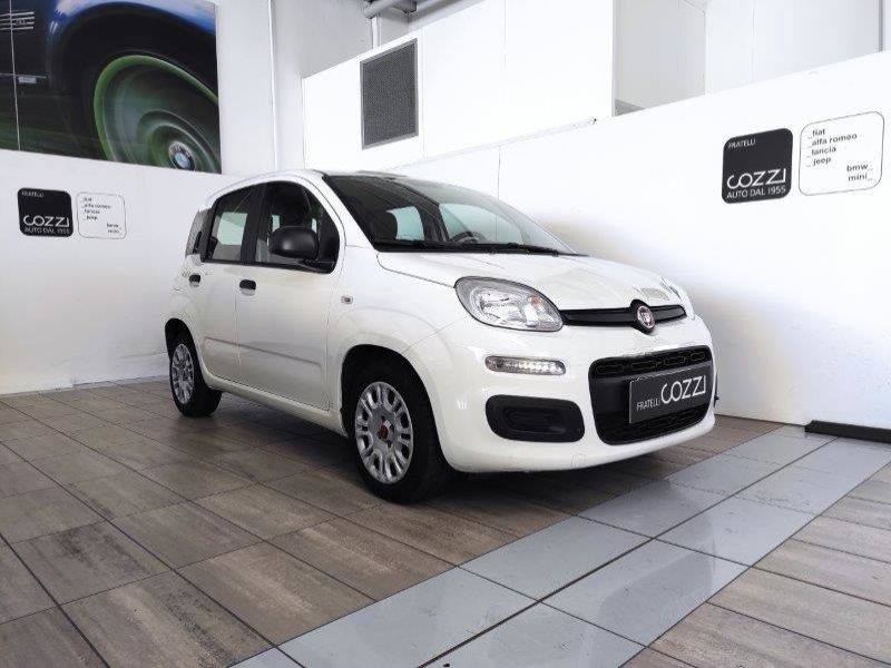FIAT Panda 3ª serie Panda 1.0 FireFly S&S Hybrid - Cozzi