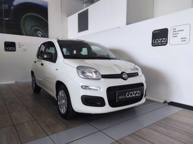 FIAT Panda 3ª serie Panda 1.0 FireFly S&S Hybrid - Cozzi
