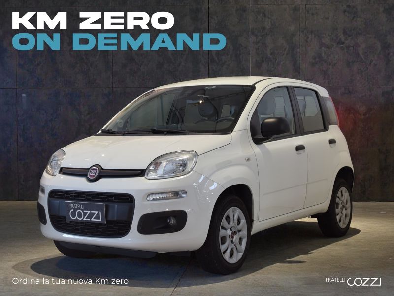 FIAT Panda 3ª serie Panda 1.0 FireFly S&S Hybrid Icon - Cozzi
